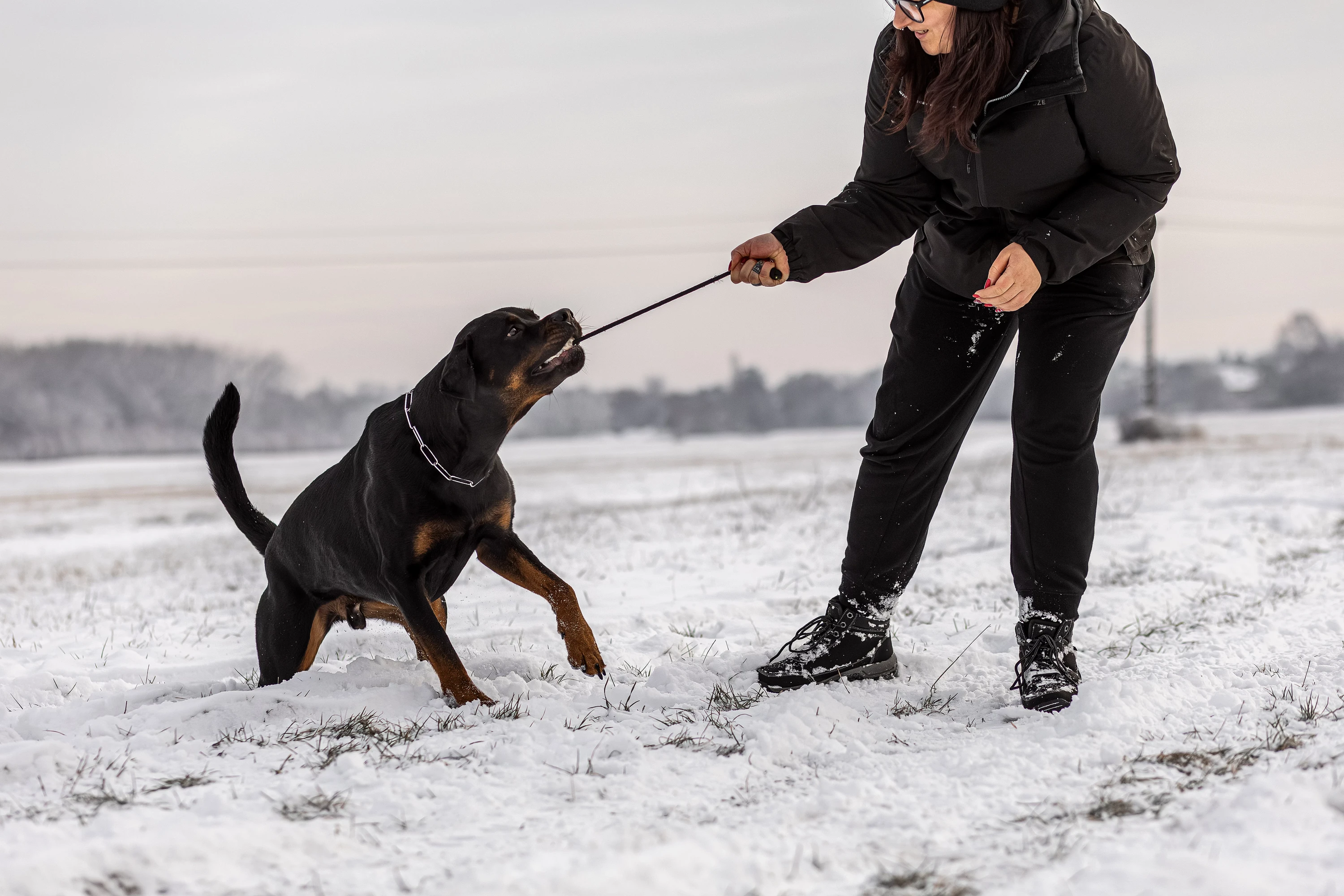Vivi játszik a rottweilerével
