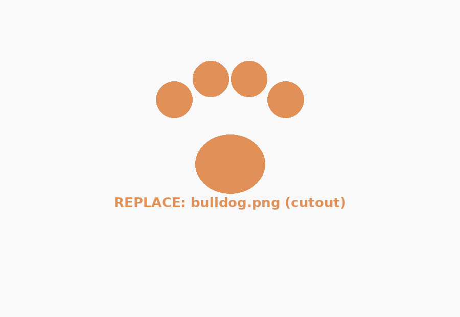 Bulldog rolling on its back